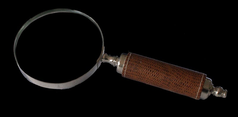 Magnifying Glass Detective